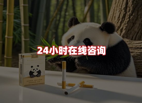 专业团队